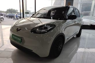 五菱汽车 五菱缤果 2023款 333km 快享款