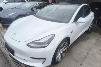 特斯拉 Model 3(进口) 2019款 Performance高性能全轮驱动版