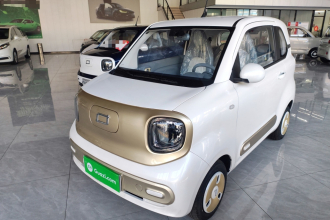 奔腾小马 2025款 222km 闪电马