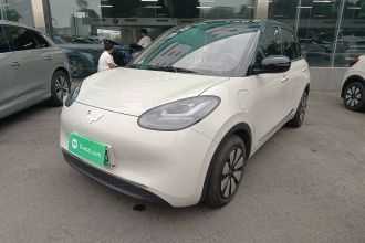 五菱汽车 五菱缤果 2024款 333km 悦享款