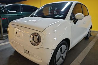 欧拉黑猫 2022款 301km 萌动型 磷酸铁锂