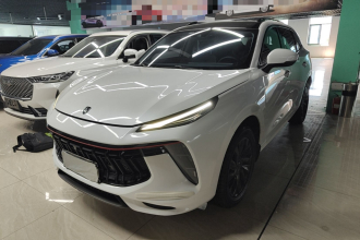 东风风行 风行T5 EVO 2021款 1.5TD DCT钻石版