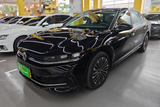 大众 迈腾 2024款  380TSI DSG尊贵版大迈包