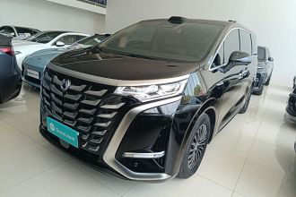 腾势D9 2025款 DM-i 智驾版 1020 四驱尊享型