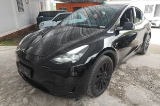 特斯拉 Model Y 2022款 后轮驱动版
