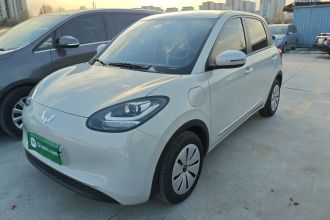 五菱汽车 五菱缤果 2025款 203km 轻享款