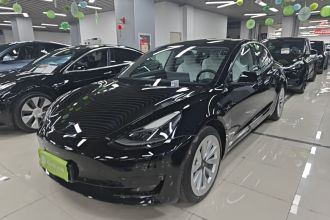 特斯拉 Model 3 2021款 标准续航后驱升级版