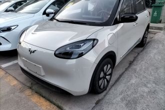 五菱汽车 五菱缤果 2025款 333km 悦享款