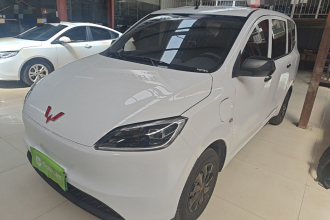 五菱汽车 五菱宏光新能源 2024款 纯电版 300KM 标准型