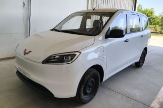 五菱汽车 五菱宏光新能源 2024款 纯电版 300KM 标准型