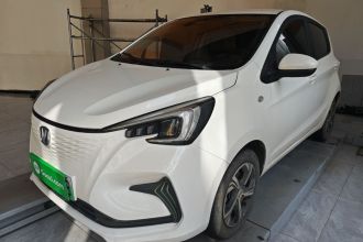 长安 奔奔E-Star 2020款 心动版 三元锂