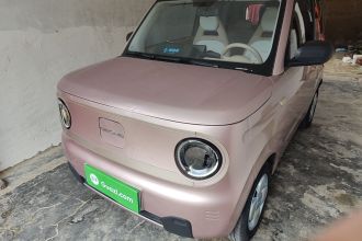 吉利银河 2023款 熊猫mini 200km 耐力熊