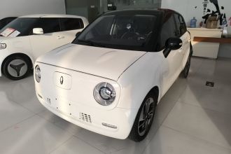 欧拉黑猫 2022款 351km 舒享型 三元锂