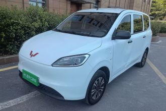 五菱汽车 五菱宏光新能源 2024款 纯电版 300KM 标准型