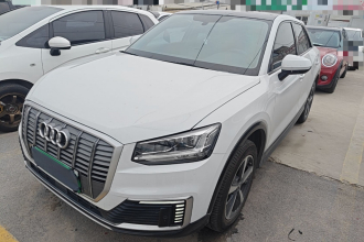 奥迪Q2L e-tron 2019款 Q2L e-tron 纯电智享型