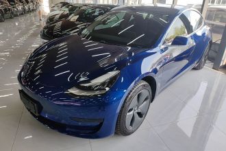 特斯拉 Model 3 2020款 标准续航后驱升级版