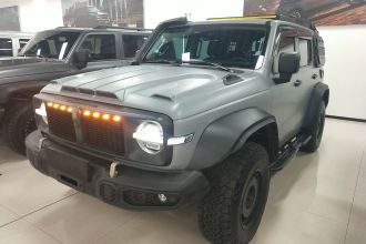 坦克300 2023款 2.0T 铁骑02