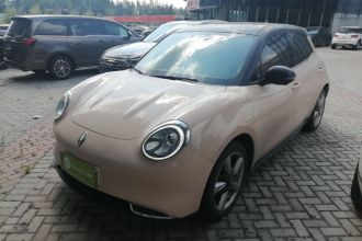 欧拉好猫 2021款 400km标准续航 维纳斯版 三元锂