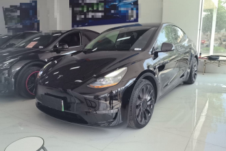 特斯拉 Model Y 2022款 Performance高性能全轮驱动版