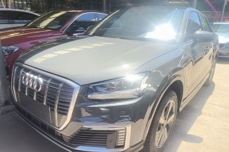 奥迪Q2L e-tron 2019款 Q2L e-tron 纯电智酷型