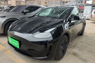 特斯拉 Model Y 2024款 后轮驱动版