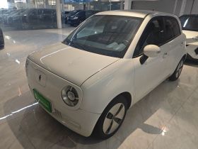 欧拉黑猫 2021款 301km 基础型