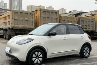 五菱汽车 五菱缤果 2024款 333km 悦享款