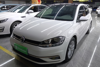 大众 高尔夫 2019款 1.6L 自动舒适型 国V