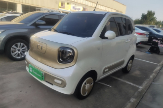 奔腾小马 2024款 170km 元气马