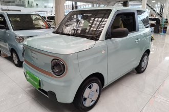 吉利银河 2024款 熊猫mini 200km 耐力熊
