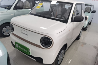 吉利银河 2024款 熊猫mini 200km 耐力熊