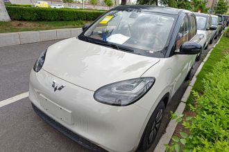 五菱汽车 五菱缤果 2025款 333km 悦享款