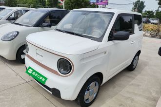 吉利银河 2024款 熊猫mini 200km 耐力熊