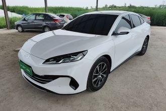 比亚迪 海豹06新能源 2024款 DM-i 80KM尊贵型