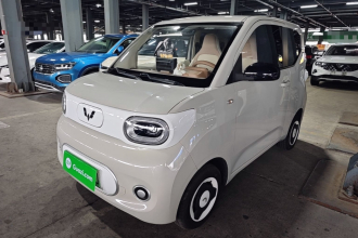 五菱汽车 宏光MINIEV 2024款 第三代 215km 青春版