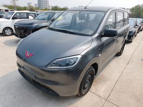 五菱汽车 五菱宏光新能源 2024款 纯电版 300KM 标准型