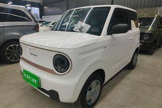 吉利银河 2023款 熊猫mini 200km 耐力熊