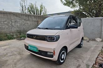 五菱汽车 宏光MINIEV 2022款 马卡龙时尚款 磷酸铁锂