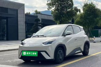 比亚迪 海鸥 2024款 荣耀版 305km 活力版