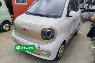 奔腾小马 2025款 222km 闪电马