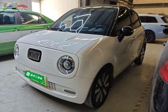 欧拉黑猫 2021款 351km 豪华型