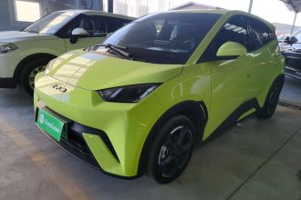 比亚迪 海鸥 2023款 自由版