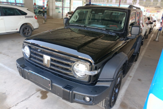 坦克300 2024款 2.0T 挑战者