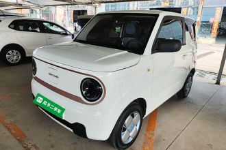 吉利银河 2024款 熊猫mini 200km 耐力熊
