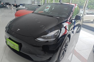特斯拉 Model Y 2023款 后轮驱动版