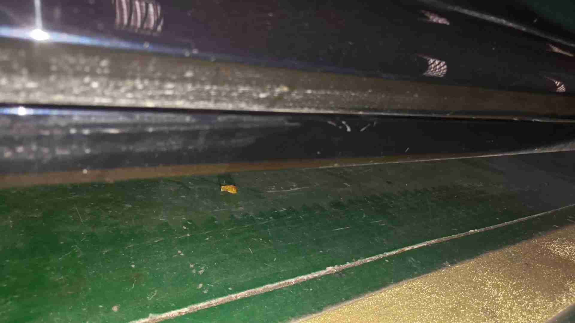左侧底边梁塑料饰板剐蹭实拍