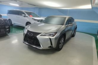 雷克萨斯UX新能源 2020款 300e 纯·享版