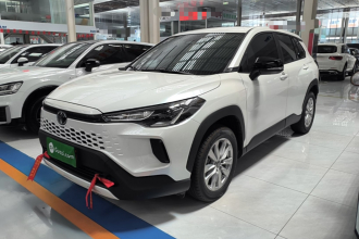丰田 卡罗拉锐放 2026款 2.0L 智能电混双擎 先锋版