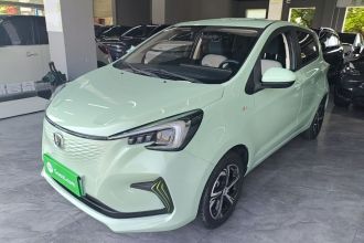 长安 奔奔E-Star 2022款 清心版 多彩款 磷酸铁锂