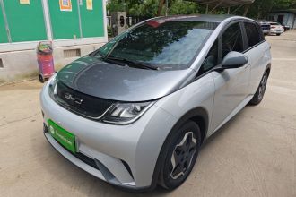 比亚迪 海豚 2021款 405km 时尚版